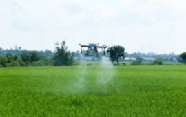 4 cách máy bay nông nghiệp đang giúp năng suất của nông dân