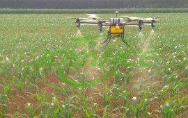 Giới thiệu phun thuốc trừ sâu bằng máy bay không người lái
