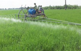 Thuốc trừ sâu là một quá trình đánh giá rủi ro