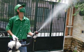 Thuốc trừ sâu atrazine có thể biến ếch đực thành con cái