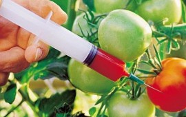 Ở Cyprus, một lượng lớn thuốc trừ sâu trong rau và trái cây