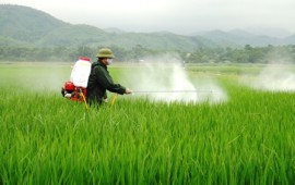 Các yếu tố hàng đầu cần xem xét máy phun nông nghiệp