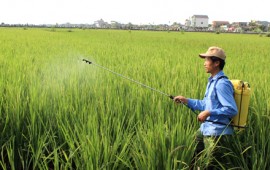 Top 7 cân nhắc khi lựa chọn máy phun nông nghiệp