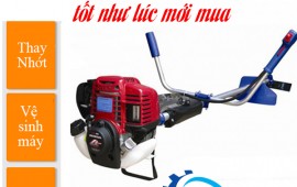 Cách giữ cho máy cắt cỏ honda gx35 luôn trong tình trạng tốt như mới