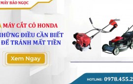 Máy cắt cỏ Honda: những điều cần biết trước khi mua để tránh mất tiền