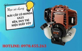 Máy cắt cỏ Honda GX25: một số mẹo bạn cần phải biết