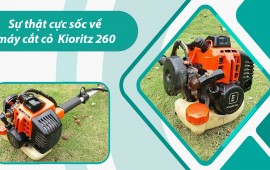 Sự thật cực sốc về máy cắt cỏ kioritz 260