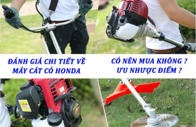 Đánh giá chi tiết máy cắt cỏ Honda có tốt không?