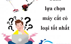 Cách lựa chọn máy cắt cỏ loại tốt nhất